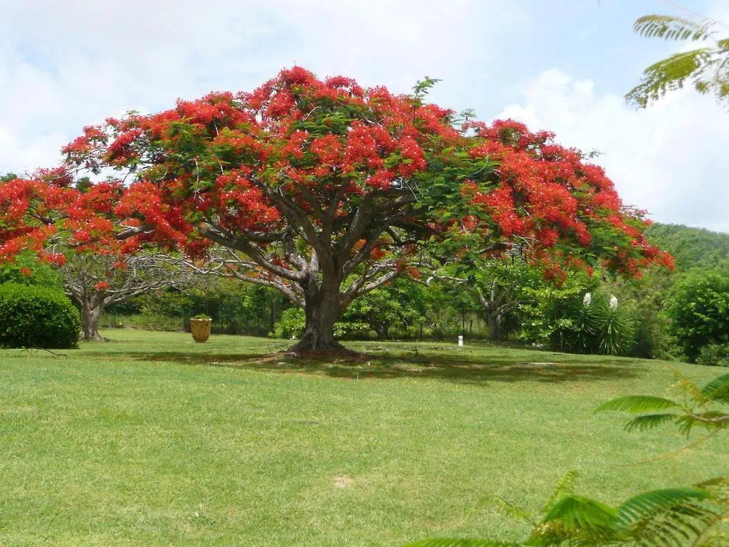 Hauts De Caritan Sainte-Anne 0*,